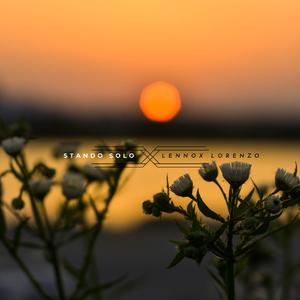 免费一级毛片毛多水多
