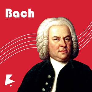 免费一级毛片毛多水多
