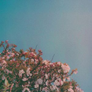 免费一级毛片毛多水多
