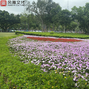 免费一级毛片毛多水多
