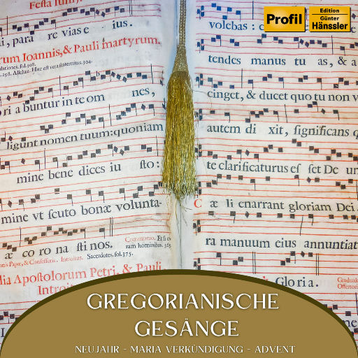 免费一级毛片毛多水多
